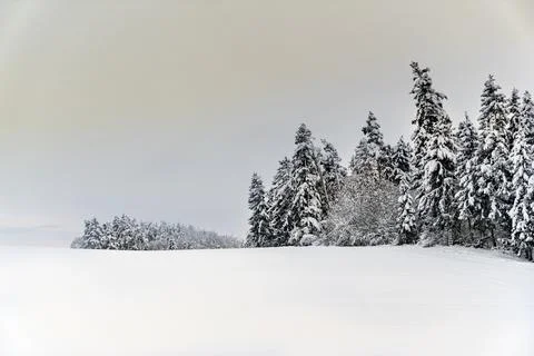 A snowy field with trees in the background Stock Photos