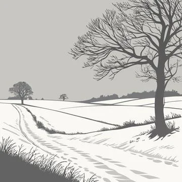 Snowy Field Under Cloudy Sky Vector Stock Illustration