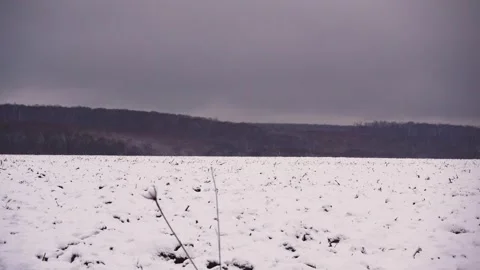 Snowy field in winter in motion. View of a winter field and forest in motion. Stock Footage 295934548