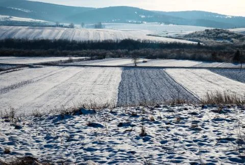 Snowy fields and landscape Stock Photos