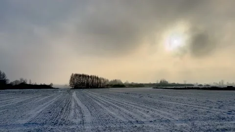 Snowy fields and winter landscape. European winter. Stock Footage 226376201