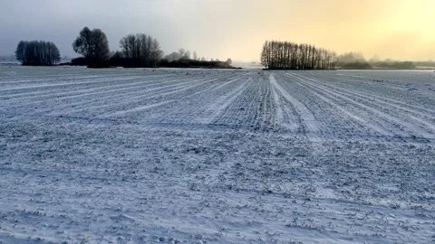 Snowy fields and winter landscape. European winter. Stock Footage 227287207