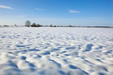 Snowy fields Stock Photos