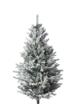 Snowy fir-tree isolated on a white background Stock Photos
