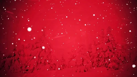 Snowy fir trees Stock Footage 82277823