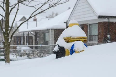 Snowy Fire Hydrant Scene Stock-Fotos
