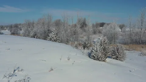Snowy Flights of 2020 Stock Footage 133539782