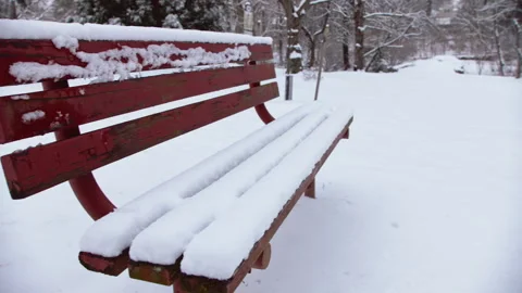 Snowy Stock Footage 303519386