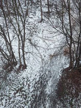 Snowy footpath through bare trees Stock Photos