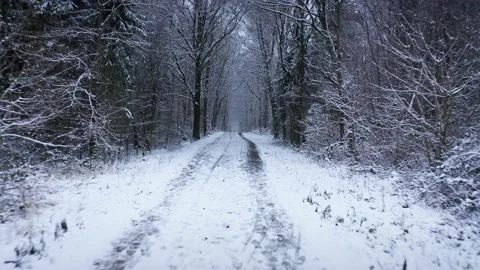 Snowy Footpath in Winter Forest Stock Footage 146777784