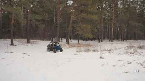Snowy forest adventure. Driver explores snowy pine forest on ATV in cold silence Stock Footage 334799932