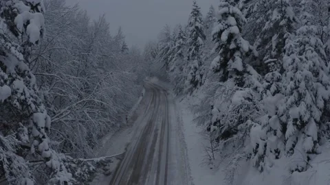 Snowy Forest (Aerial View) Stock Footage 207013341