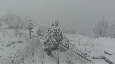 Snowy forest, aero view Stock Footage 161339004