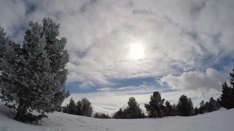 Snowy Forest and Cloudy Blue Sky 스톡 동영상 342924673