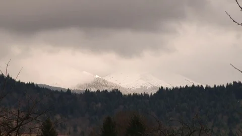 Snowy forest and dark clouds Stock Footage 70432516