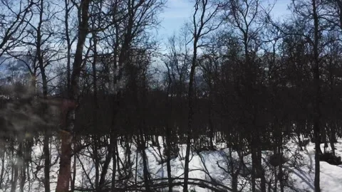Snowy Forest and Mountain Views from Train Window on Oslo to Myrdal Route Stock Footage 340877342