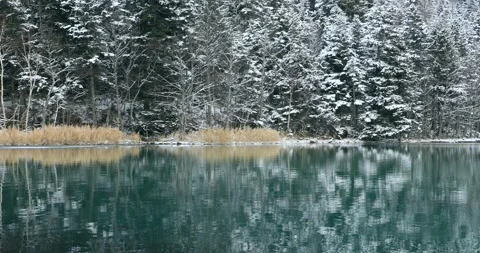 Snowy Forest and Onneto 動画素材 332395385