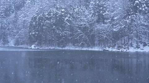 Snowy Forest and Pond with Falling Snow in (Horizontal | Slow Motion) Stock Footage 338251722