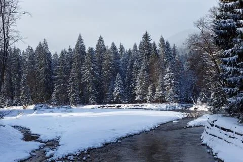 Snowy forest and river in the High Tatras mountains. Stock Photos