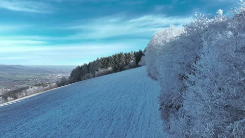 Snowy Forest Background, Cold Winter Nature Stock Footage 326068788