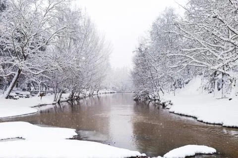 Snowy forest, background Stock Photos
