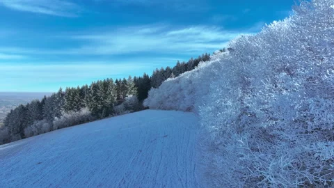 Snowy Forest Background, Winter Trees Covered with Frost Stock Footage 326068782