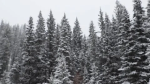 Snowy forest with bokeh background. Stock Footage 181844245