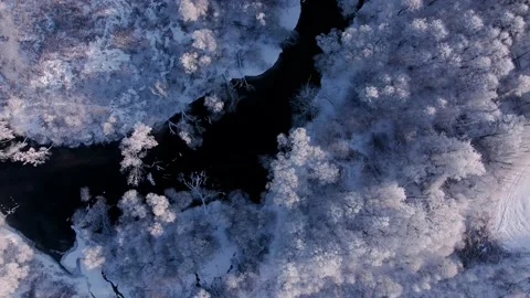 Snowy forest, curvy river in winter. Aerial view of nature in winter Stock Footage 167954352