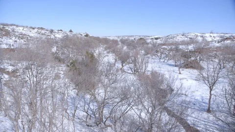 Snowy forest with dead trees Vidéo 104888364