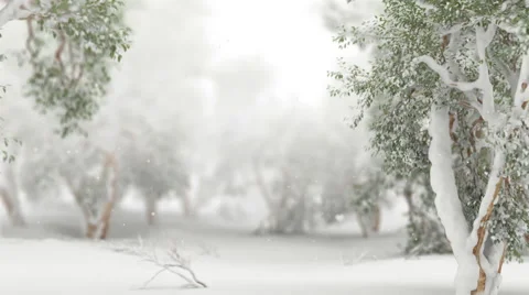 Snowy Forest with Depth of Field. Stock Footage 40098746