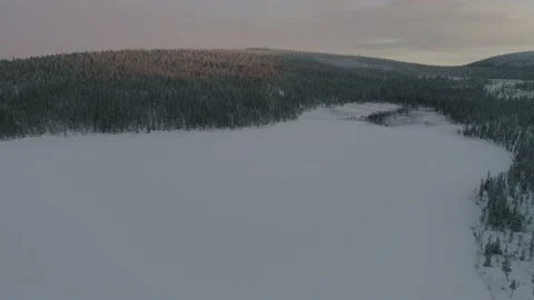 Snowy forest from drone view in 4k 60 fps Dlog Stock Footage 144134934
