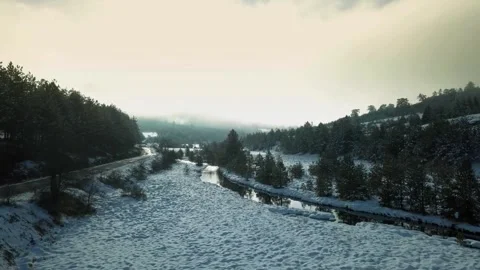 Snowy forest drone, winter landscape view, frozen river valley Stock Footage 309289664