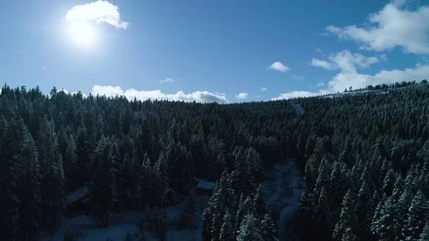 Snowy Forest Drop Down Drone Shot Stock Footage 102186240