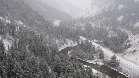 Snowy Forest Fly Over Video stock 83315220