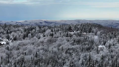 Snowy Forest Flyover in Winter Stock Footage 274598916