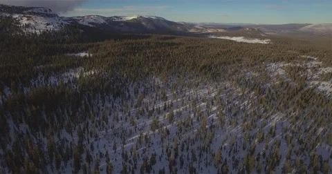 Snowy Forest Stock Footage 59322518