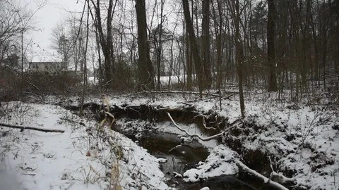 Snowy Forest Stock Footage 73829507