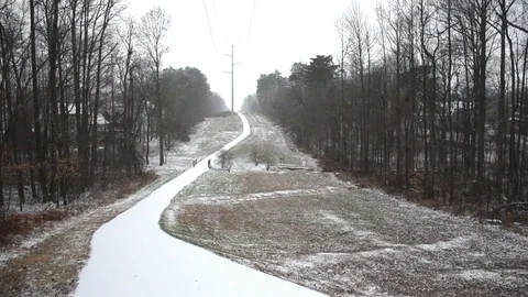 Snowy Forest Stock Footage 73829510