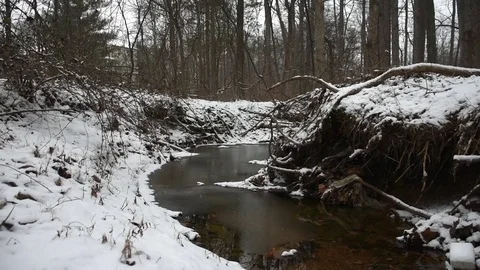 Snowy Forest Stock Footage 73829511