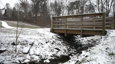 Snowy Forest Stock Footage 73829512