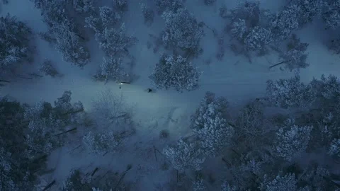 A snowy forest Video stock 147264290