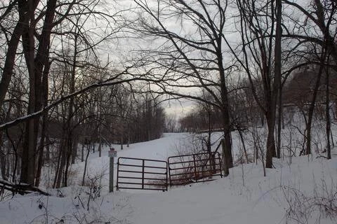 Snowy Forest Gate 스톡 사진
