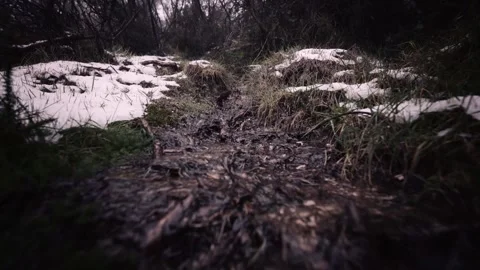 Snowy Forest Ground Around Rocks in Shaded Woodland Stock Footage 341691620