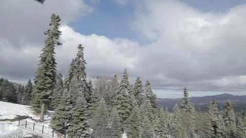 Snowy forest landscape in Big Bear, California Stock Footage 85571558