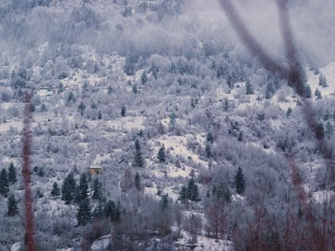 Snowy forest landscape  Stock Footage 71939355