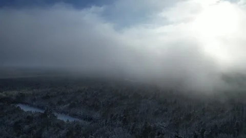 Snowy Forest Landscape Timelapse | 4k 60fps Cinematic Drone Video Stock Footage 247465537