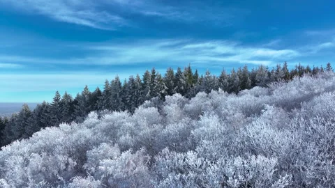 Snowy Forest Landscape, Winter Background Stock Footage 326068870