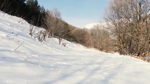 Snowy Forest On the Mountain Stock Footage 58687635