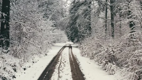 Snowy Forest Path Captured from an Aerial Perspective in Winter Landscape 库存影片 331167569
