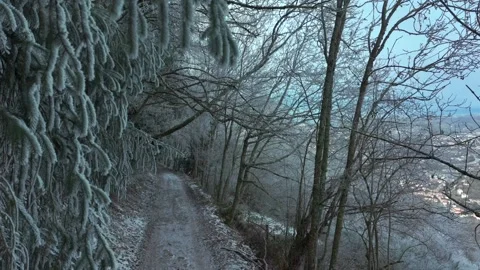Snowy Forest Path in Cold Winter Morning Stock Footage 328830152